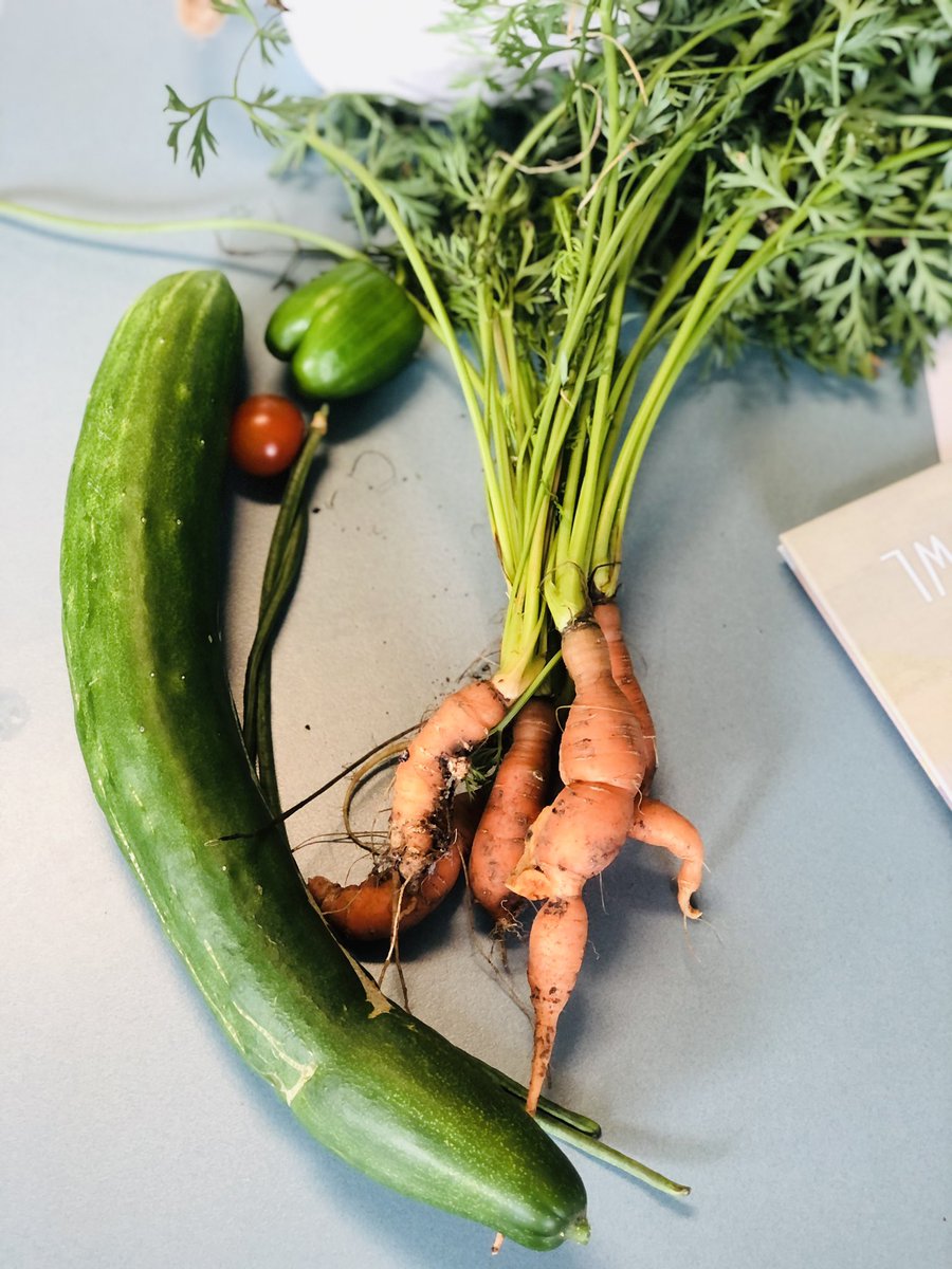 We have veggies ! Well done to stage 2 your garden has grown 👏🙌 <a href="/fairvaleps/">FairvalePS</a>