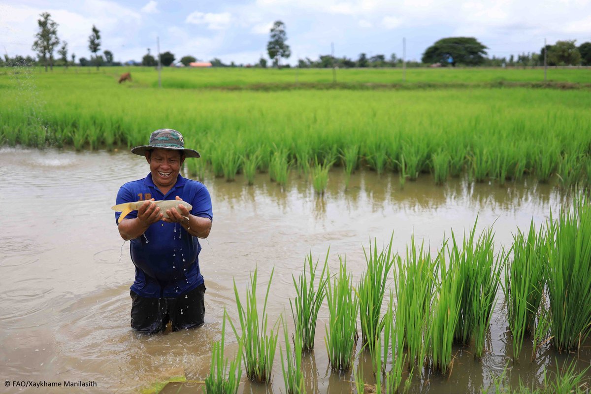 FAOKnowledge's tweet image. 📢 Call is open now! 

We invite your organization to submit successful agricultural practices and technologies that can help smallholder farmers and producers to overcome the current challenges.

More info👉🏼teca.apps.fao.org/teca/en/call

#AgInnovation #SustainableMechanization