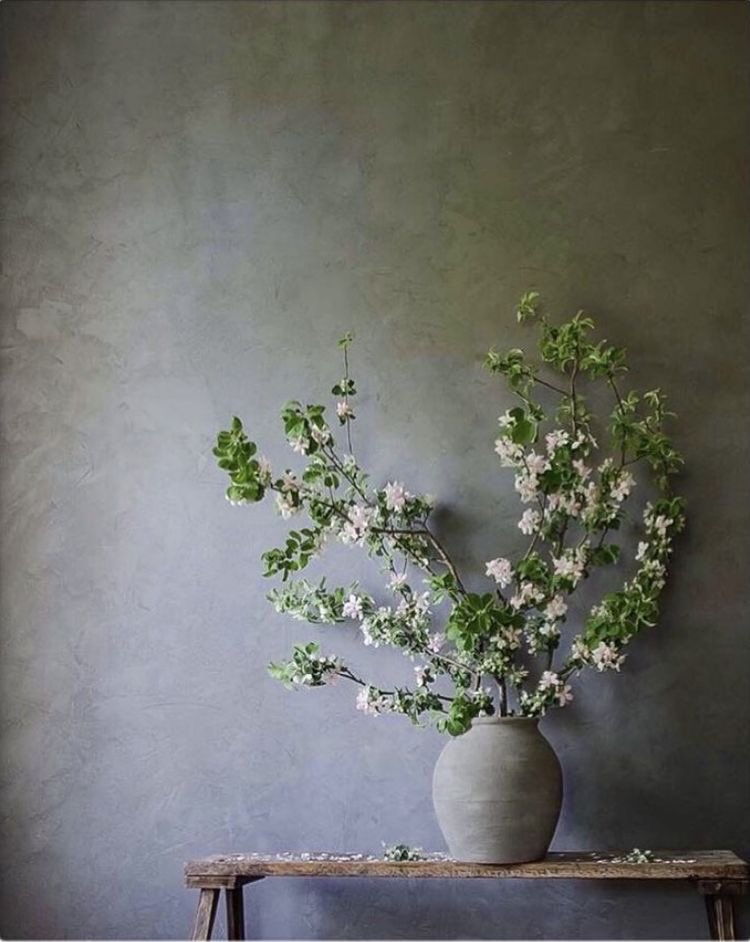 Marrakech Walls, a single coat lime-plaster paint by Pure & Original, 100% mineral #painting #limeplaster #plasterpaint #texturedwalls #interiordesign cred by Agnes Ruygrok
