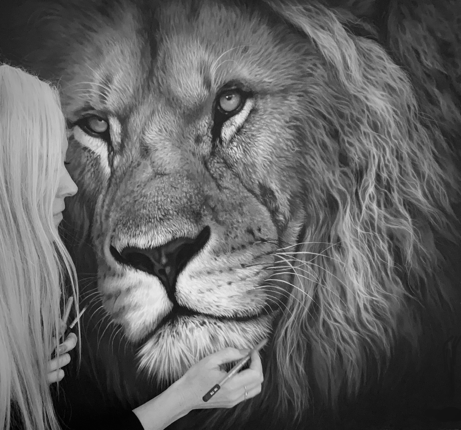 Black And White Lion Face Tumblr