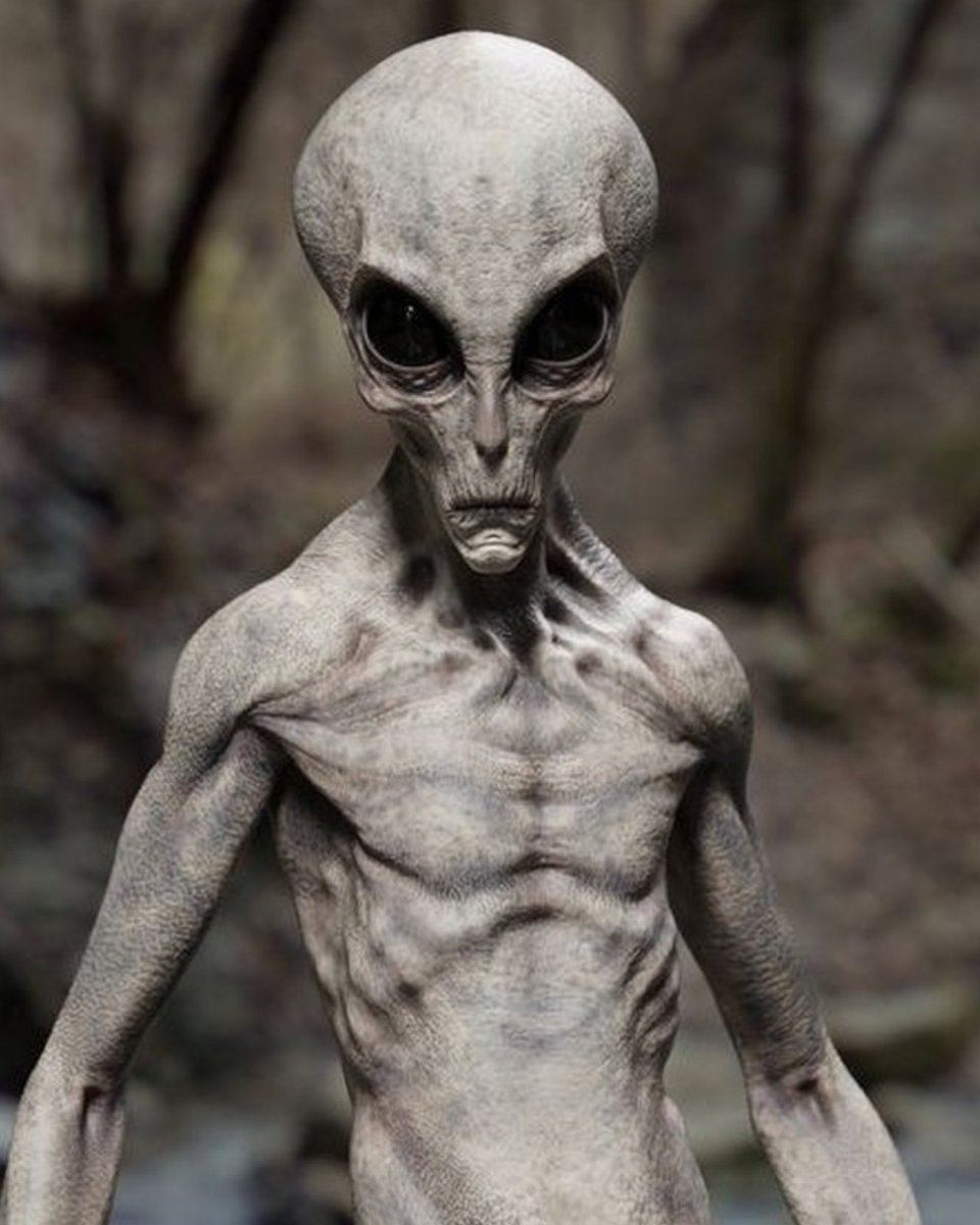 CHILE UFO tweet media