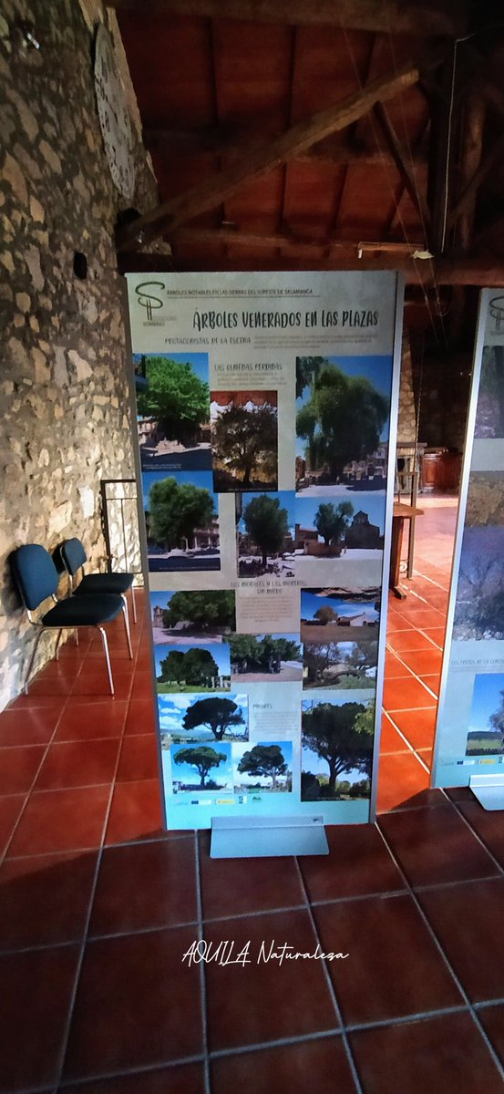 Este sábado de 10 a 13 podrás visitar en el Aula de Linares de Riofrío (Salamanca) la exposición "Acogedoras Sombras”. Y si lo deseas puedes solicitar una interpretación de la exposición, totalmente gratuita.

🕙 Sábado de 10 a 13.

Organizador de la exposición: <a href="/grupoadriss/">Adriss</a>