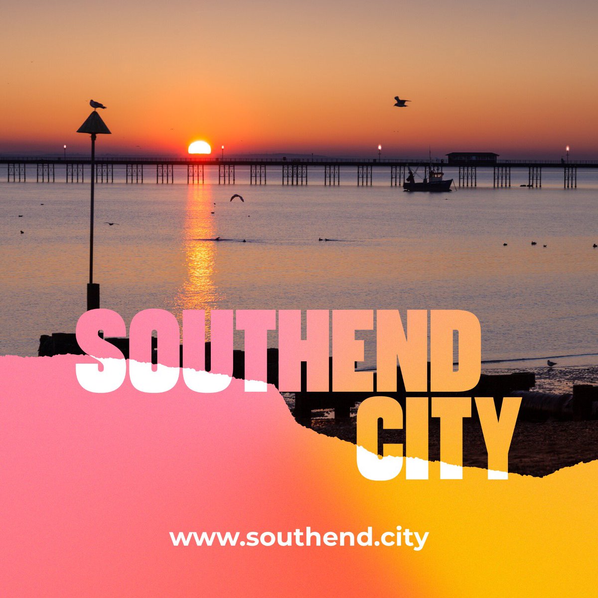 Southend City tweet media