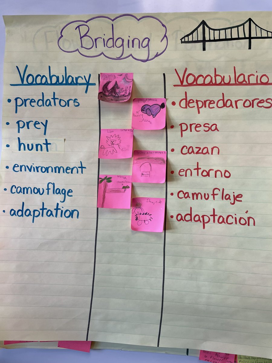 DualLanguageYPS's tweet image. How many times have you crossed the bilingual bridge today? Our Thomas Cornell Academy dual language scholars cross back and forth muchas veces! #duallanguage #bridging #translanguaging