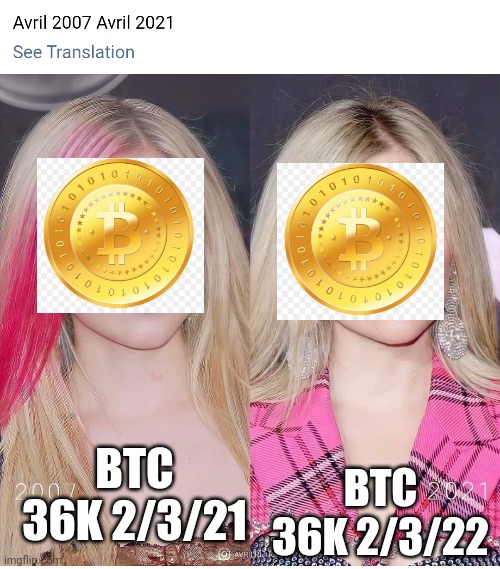 Sadboi_bitcoin_memes tweet media