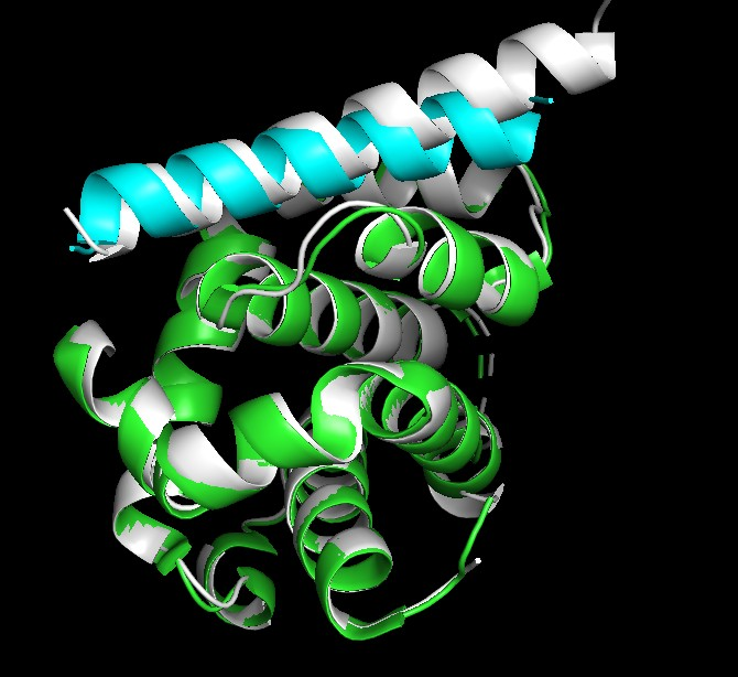 Sergey Ovchinnikov tweet media