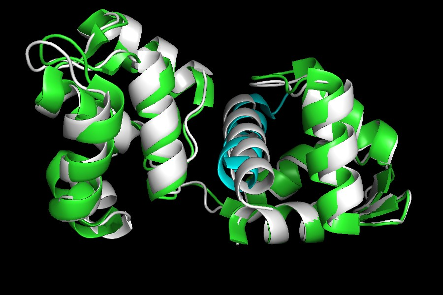 Sergey Ovchinnikov tweet media