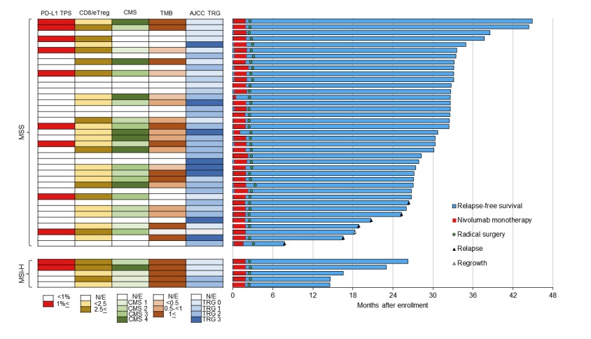 CCR_AACR's tweet photo. Preoperative #chemoradiotherapy followed by #nivolumab and surgery in patients with locally advanced #RectalCancer increased #PathologicalCompleteResponse. PD-L1 expression and elevated CD8/eTreg ratio can be positive predictors. https://t.co/CpNkDAkTpu https://t.co/8FK6DGb6pG