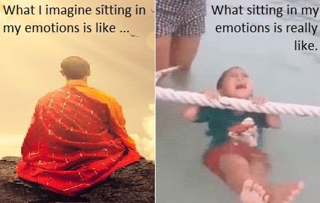 mindfulaccept's tweet image. It’s true, though…