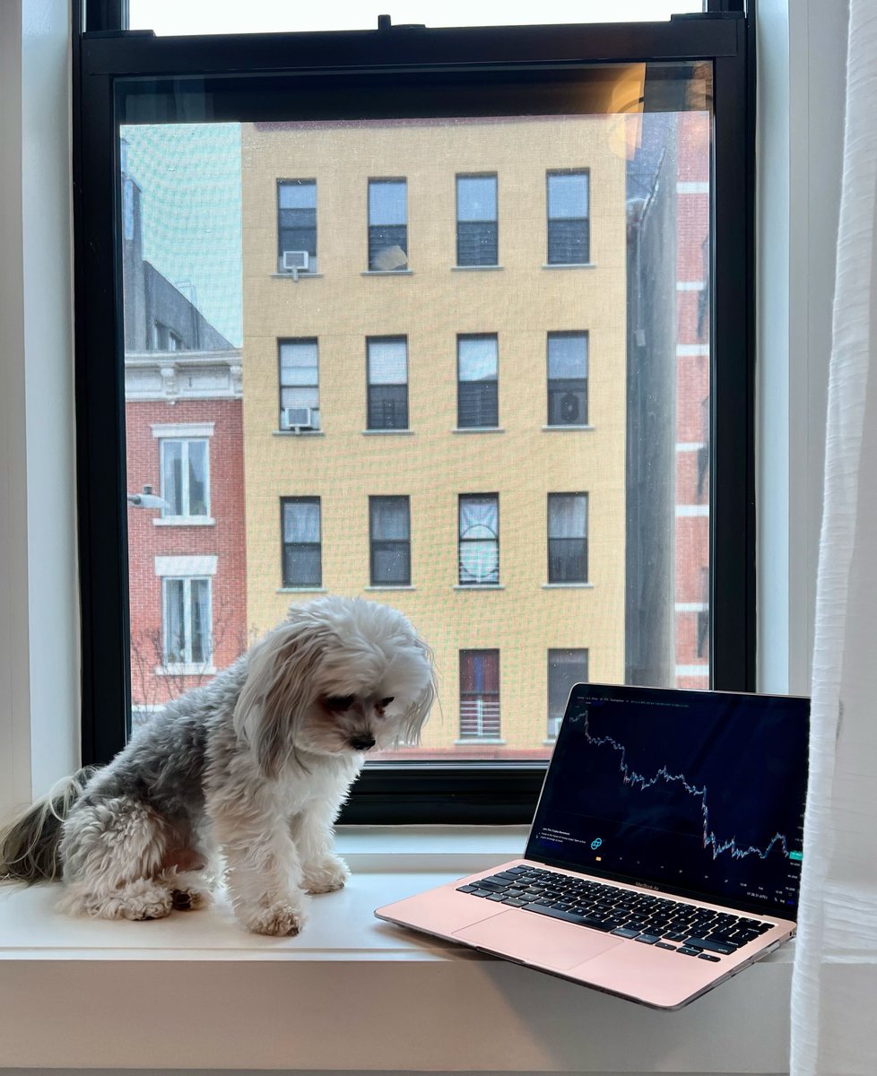 tradingview's tweet photo. When you're down YTD https://t.co/9sy8kyYq4k