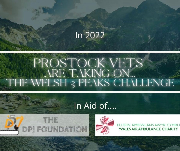 ProStock Vets (@prostockvets) on Twitter photo The last couple of years haven't been easy....that's why at ProStock vets, we have decided to take on the Welsh 3 Peak Challenge this July to raise money for the DPJ Foundation and Wales Air Ambulance...
Watch this space for updates on our training progress....! ๐โโ๏ธ๐ถโโ๏ธ๐ง๐ปโโ๏ธ The last couple of years haven't been easy....that's why at ProStock vets, we have decided to take on the Welsh 3 Peak Challenge this July to raise money for the DPJ Foundation and Wales Air Ambulance...
Watch this space for updates on our training progress....! ๐โโ๏ธ๐ถโโ๏ธ๐ง๐ปโโ๏ธ