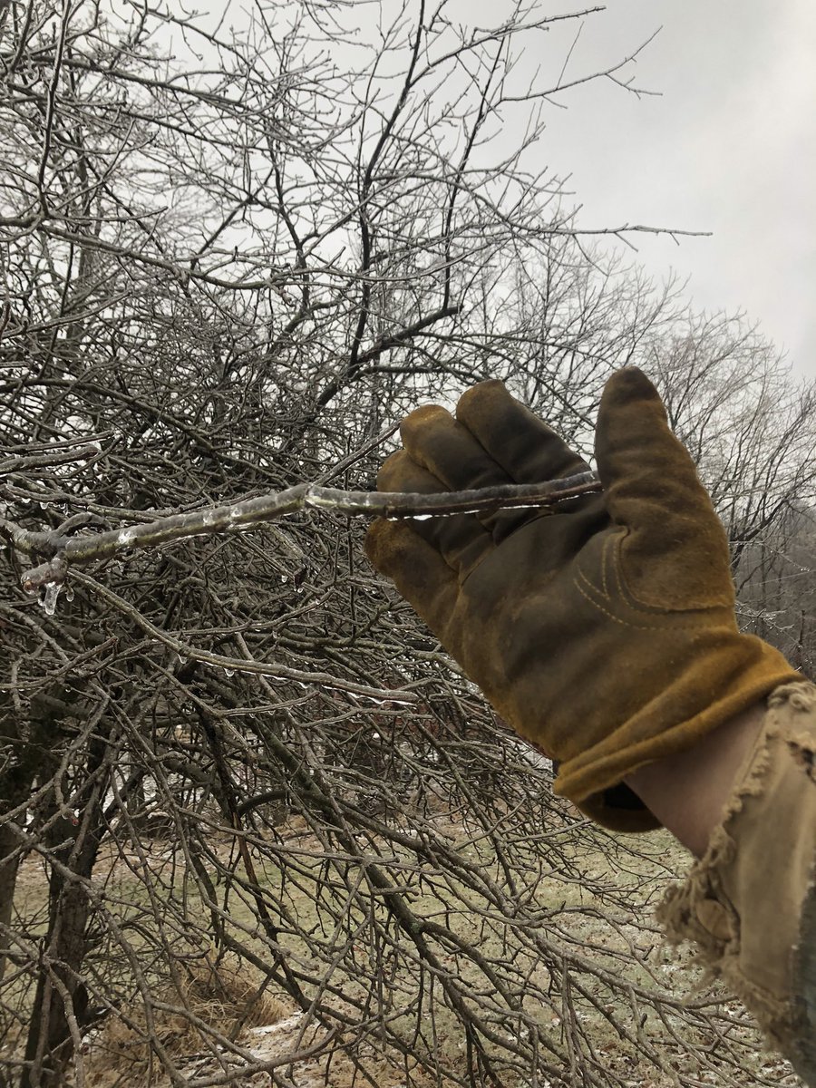 brizzyb123's tweet photo. @ryanhallyall this is from an hour ago in Western KY https://t.co/al8oIegzlG