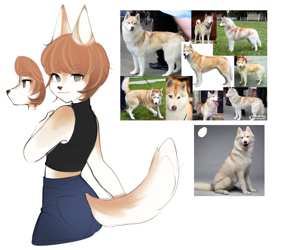d_danilevsk's tweet photo. моя фурсона..
хаски изабеллового окраса :з 
#Fursona #Art #Anthro https://t.co/aL811bgoCr