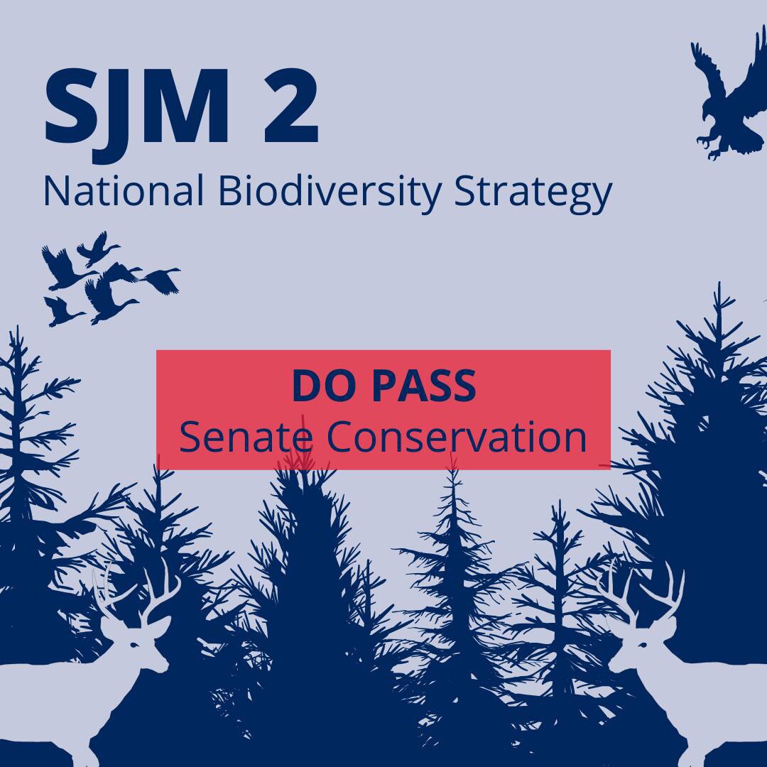 Sen_MimiStewart's tweet photo. Today #SJM2, National Biodiversity Strategy, passed the Senate Conservation Committee. SJM2 calls on the federal government to preserve the water, land, and thousands of species that grow and thrive in New Mexico and across the country. #nmleg https://t.co/AWCvpSXKNg