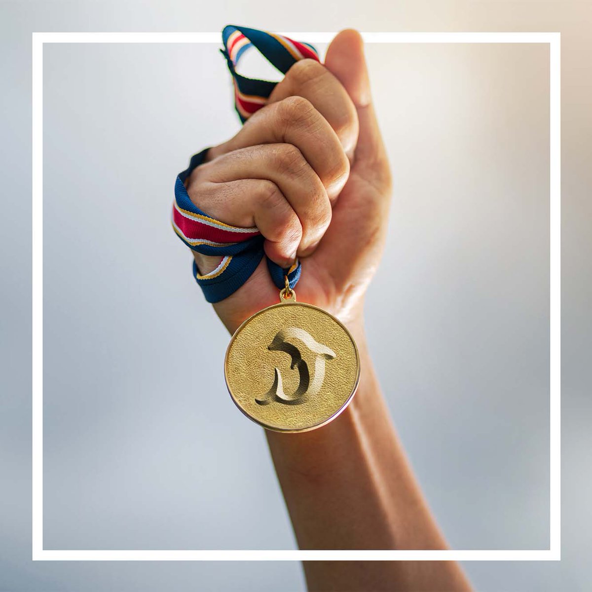 DolphinLtd's tweet photo. The Winter Olympics begin tomorrow...but we already took home gold for best trucking company! 🥇 #Olympics https://t.co/6jE9ntKEr7