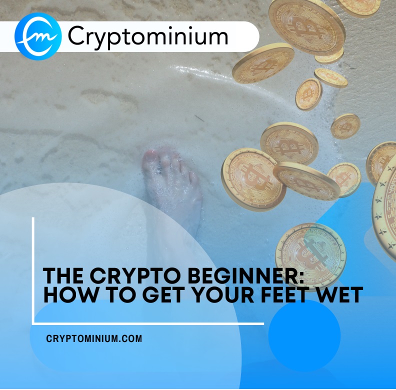 cryptominium's tweet photo. Let's go back to the basics! A good read for a #ThrowbackThursday

The crypto beginner: How to Get Your Feet Wet | https://t.co/4SFM9UXBtO
By @cryptominium  Founder/President, now CEO @WolfredWanch 

 #crypto #crypto101 #cryptocurrency #cryptospace #cryptominium https://t.co/jTudbhb5Jl