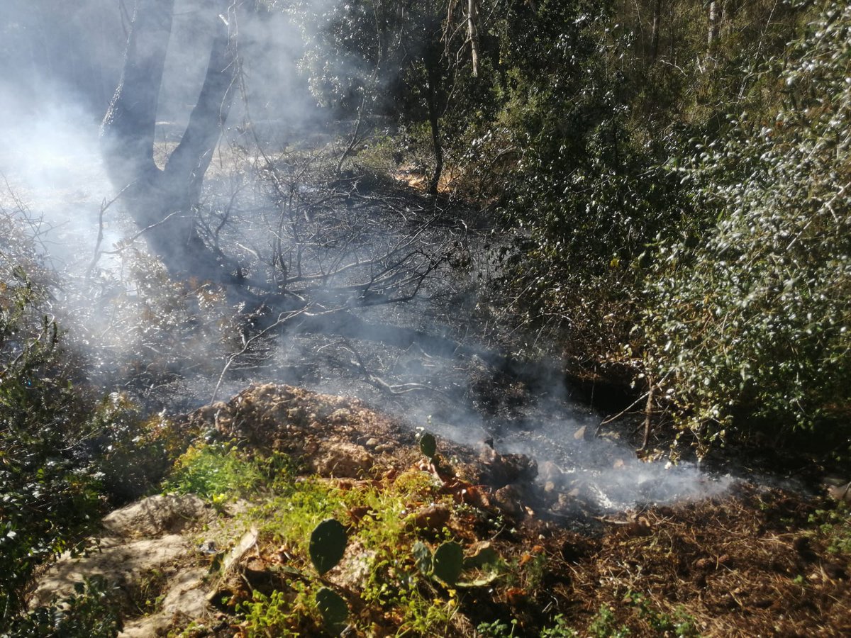 xarxaforestal's tweet photo. A Balears aquesta època de l'any pots cremar amb precaució restes vegetals en zones agrícoles
Però, per a ús del foc en terreny forestal necessites autorització prèvia @cmat_ib, perquè el perill d'incendi forestal és real
#IFCanJosepet
Prevenir és actuar
https://t.co/X3FLCsDO3A https://t.co/NAq41IKg0m