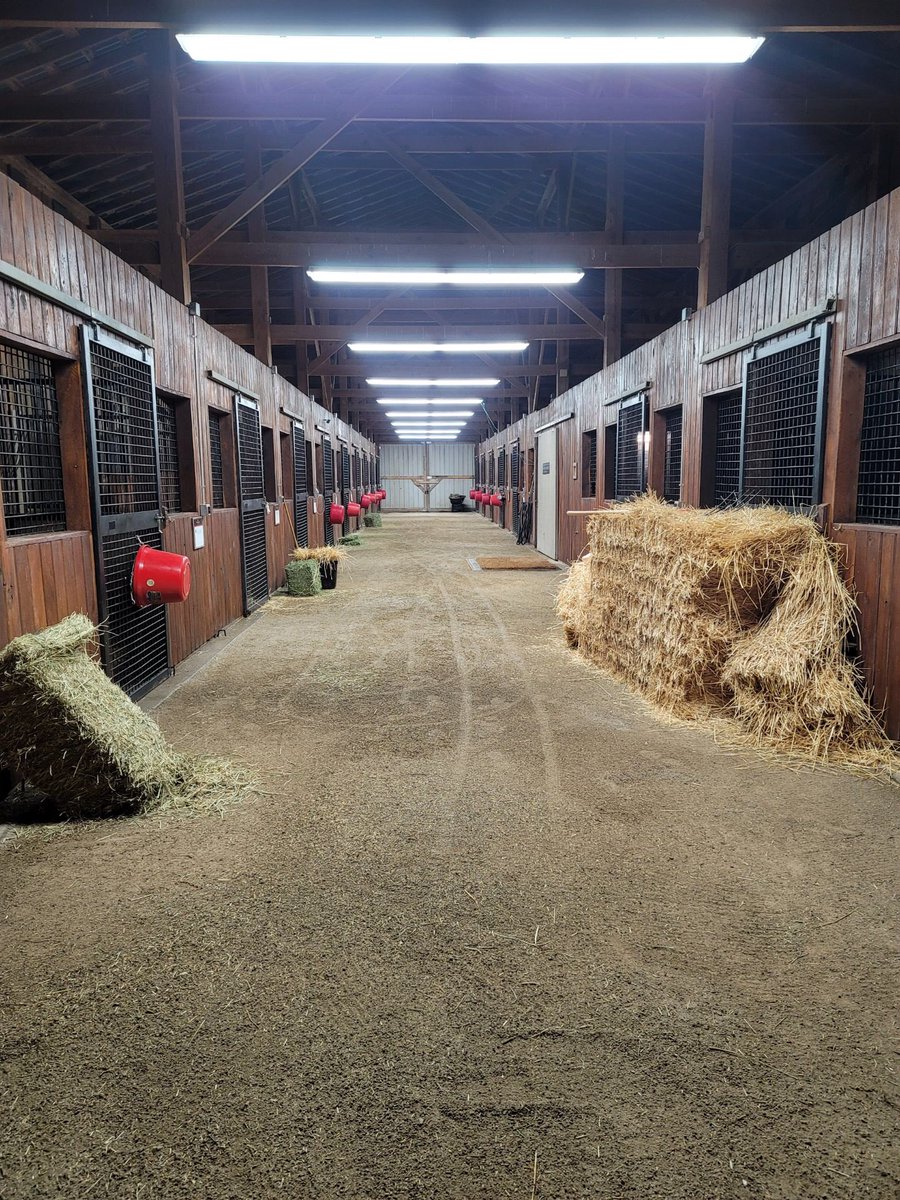 Ice storm warning in Lexington, Ky. All of our horses all bedded in our barns. Fasig Tipton Sale delayed one day because of expected winter storm.  Photo of our main barn. Horses all comfortable.