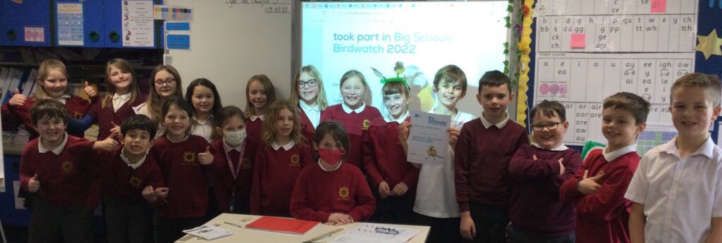 We have been busy using the data we collected from our #BigSchoolBirdwatch to create tables, bar charts and created our own graphs using Excel on HWB too. We submitted our data onto the RSPB website &amp; we were delighted to receive our own certificate! <a href="/CrossAshSTEM/">Cross Ash STEM</a> <a href="/RSPB_Learning/">RSPB Learning</a>