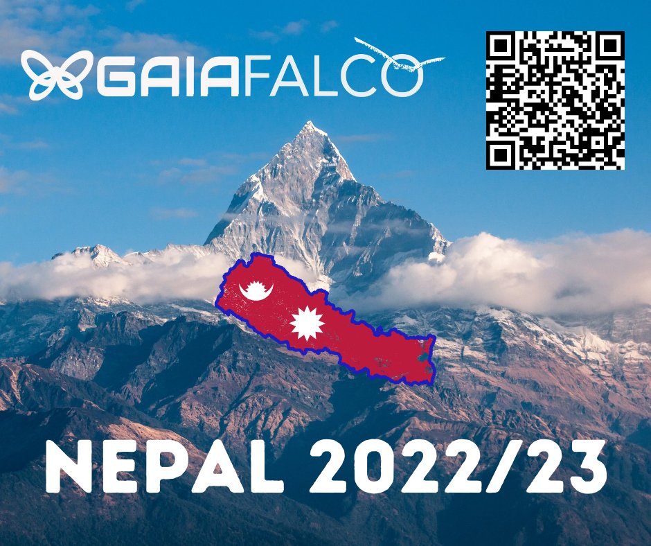 Gaia_Falco's tweet photo. 🇳🇵NEPAL 2022/23
web: https://t.co/6eaRGgPnYS
👉Agosto 2022: #Katmandú #SelvaChitwan 
👉Octubre 2022: #Annapurnas
👉Abril 2023: #CampamentoBaseEverest
📞633091259 #Falco #Gaia
#Nepal #ViajesEmocionales #Annapurnas #Everest #Katmandú #Trekking #Selva #TigreBengala #Senderismo https://t.co/dI1uQH9avX