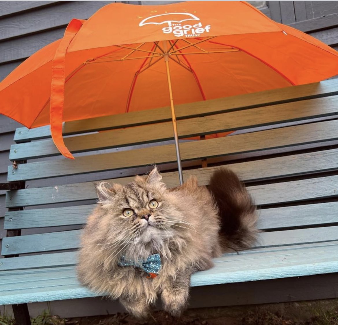 The Good Grief Trust tweet media