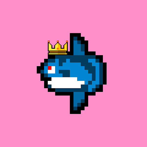 Weird Mola tweet media