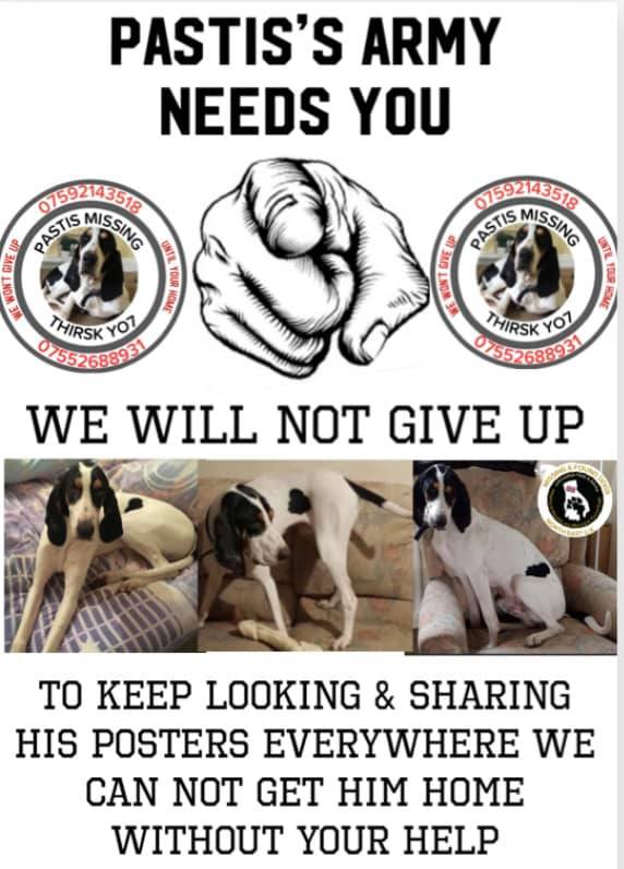 The_Animal_Team's tweet photo. Never give up! #Pastis FB Page: https://t.co/uCsLvYYidm DL: https://t.co/JcS4hb6AW0 #FindPastis https://t.co/PyzfVKsVdS