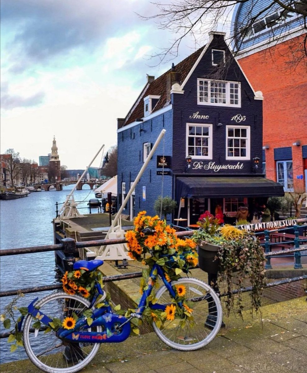 micgomess's tweet photo. Linda #Amsterdam https://t.co/UgoICo6Jic