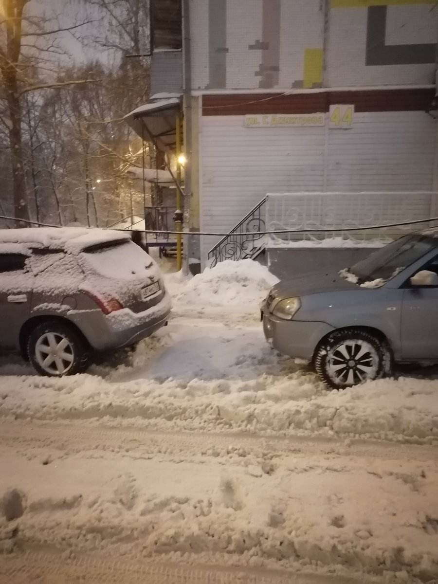 Елена Дернова tweet media