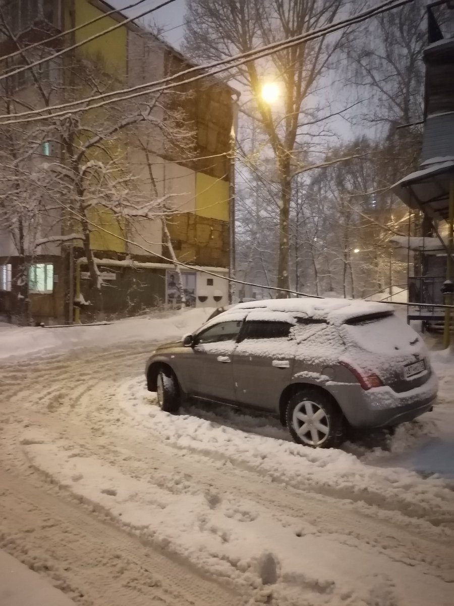 Елена Дернова tweet media