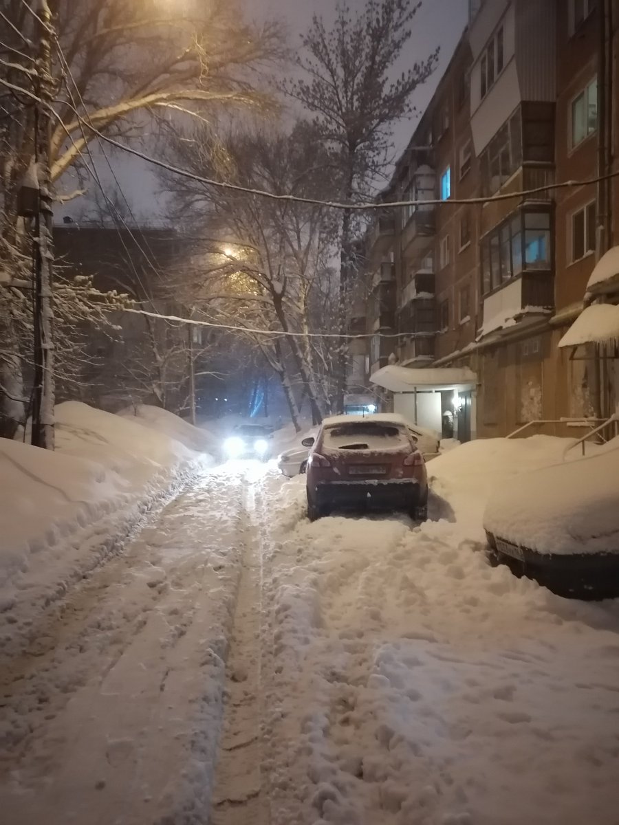 Елена Дернова tweet media