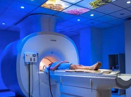 CTOMedicinaES's tweet photo. Volvemos con una nueva actualización en #PreDoctor! 👉 Fundamentos de la resonancia magnética – Radiología.
Suscríbete aquí y aprovecha todas las ventajas!! 👇
https://t.co/17z6js9GgW https://t.co/kRxfLHzDkf