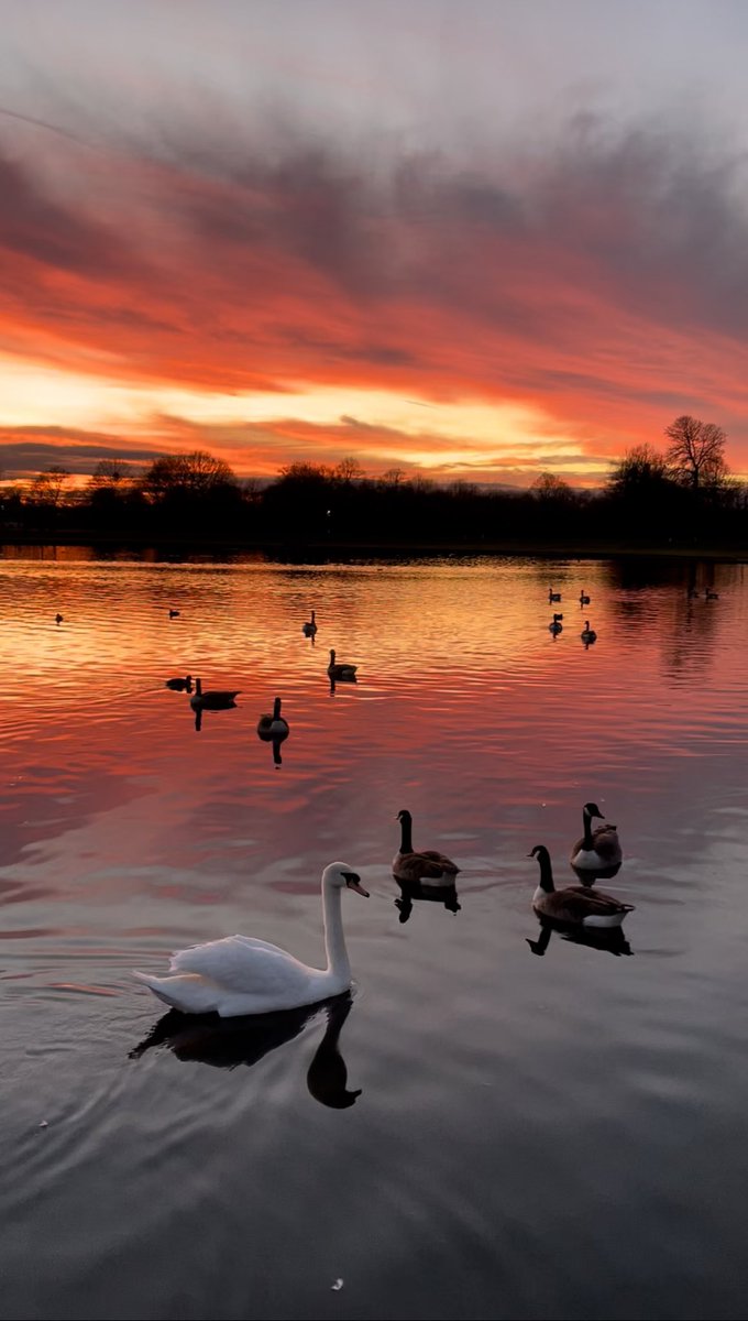 Charlotte Trendell tweet media