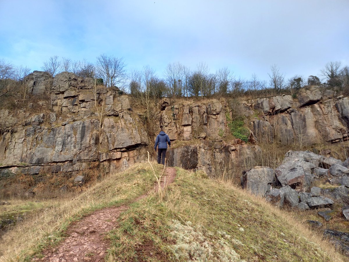 nickmanor's tweet photo. Found a hidden gem near Egremont today, Clints Quarry now a Nature Reserve. Such a haven, can't wait to return in the Spring! @FellPics @CumbriaWeather @Cumbria_Lakes @WildlifeTrusts #CUMBRIA #clintsquarry https://t.co/BHH9ZHTVho