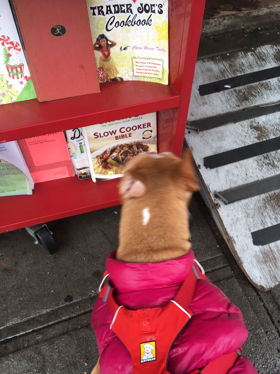 my_goldfarb's tweet photo. You can’t fast cook OR purchase a #book with #paws 🤷♀️
#pible #pitbull #pitbullsofinstagram #rescuedog #AdoptDontShop #readingforpleasure #cooking : maybe someday. https://t.co/XD5yqHMiex