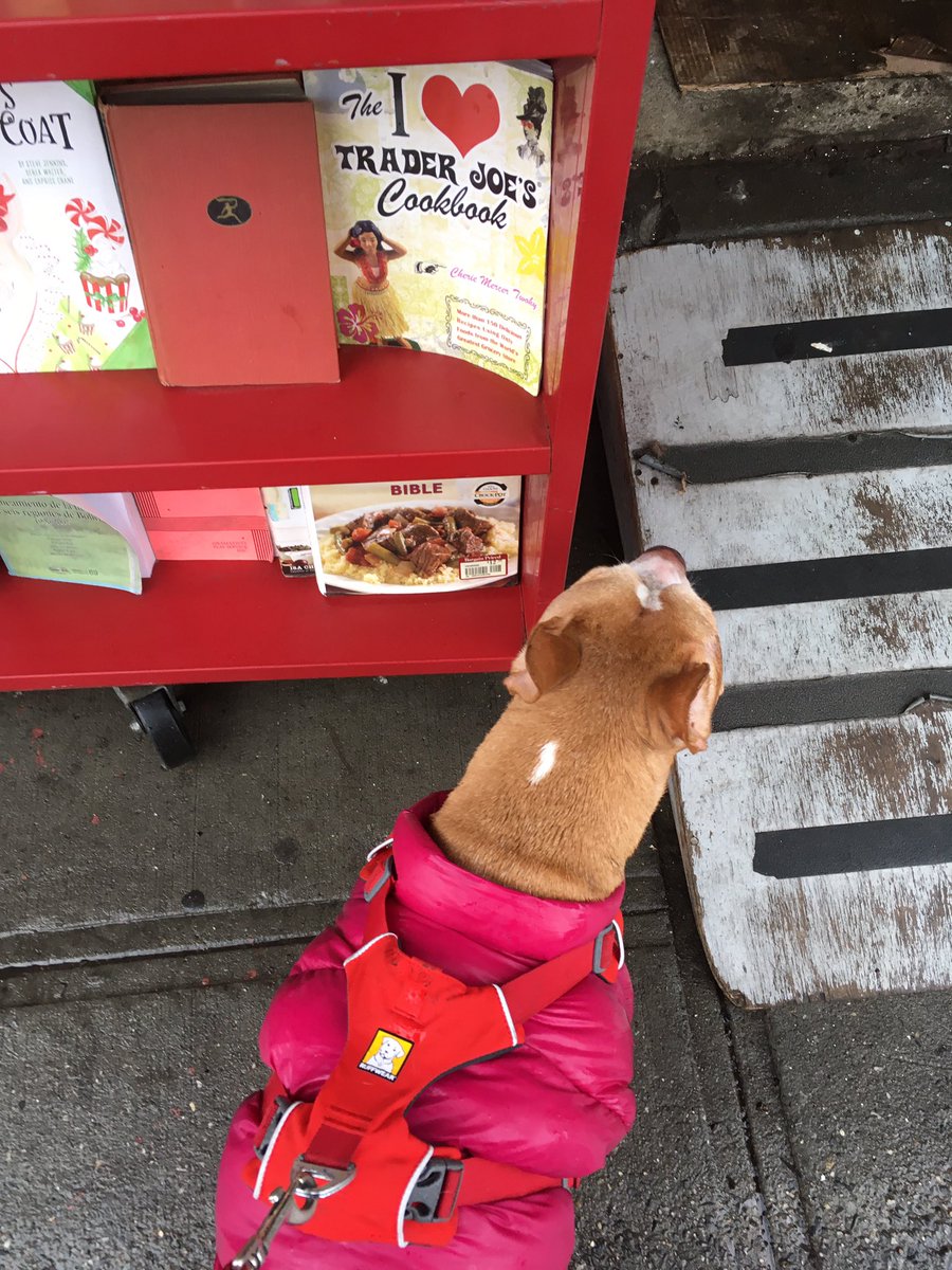 my_goldfarb's tweet photo. You can’t fast cook OR purchase a #book with #paws 🤷♀️
#pible #pitbull #pitbullsofinstagram #rescuedog #AdoptDontShop #readingforpleasure #cooking : maybe someday. https://t.co/XD5yqHMiex