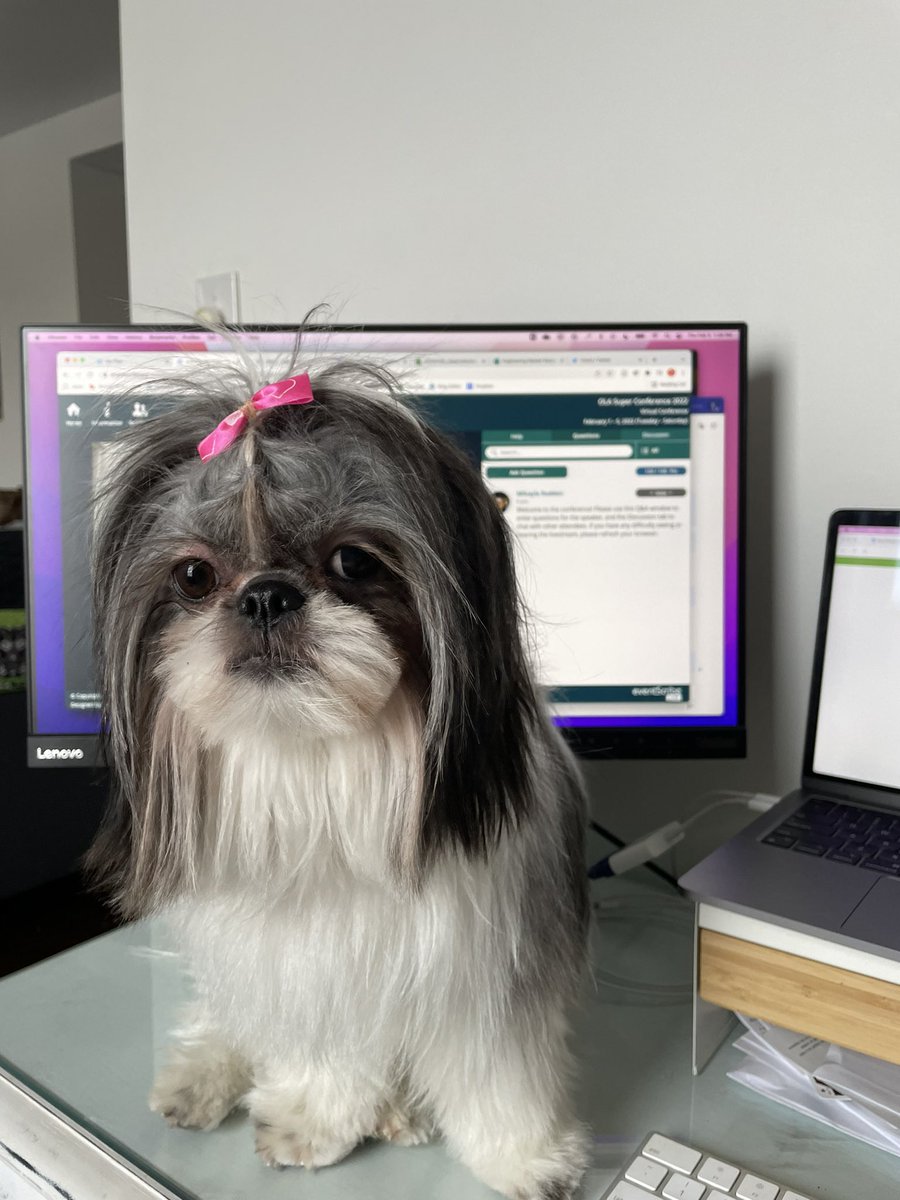 thelibrairy's tweet photo. Had a little friend join me as a surprise co-presenter! 🐶 #olasc https://t.co/sa74LEdb5H