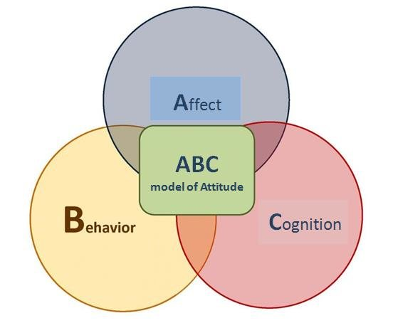 Lauriane_vrnn's tweet photo. Attitude is our evaluation of a person, idea or object. They can be positive and negative and involve affective, behavioral and cognitive components.
@lets_NEUROmkt #NMKTRCH #MKTINGNEURO https://t.co/h3fJGMcTpp