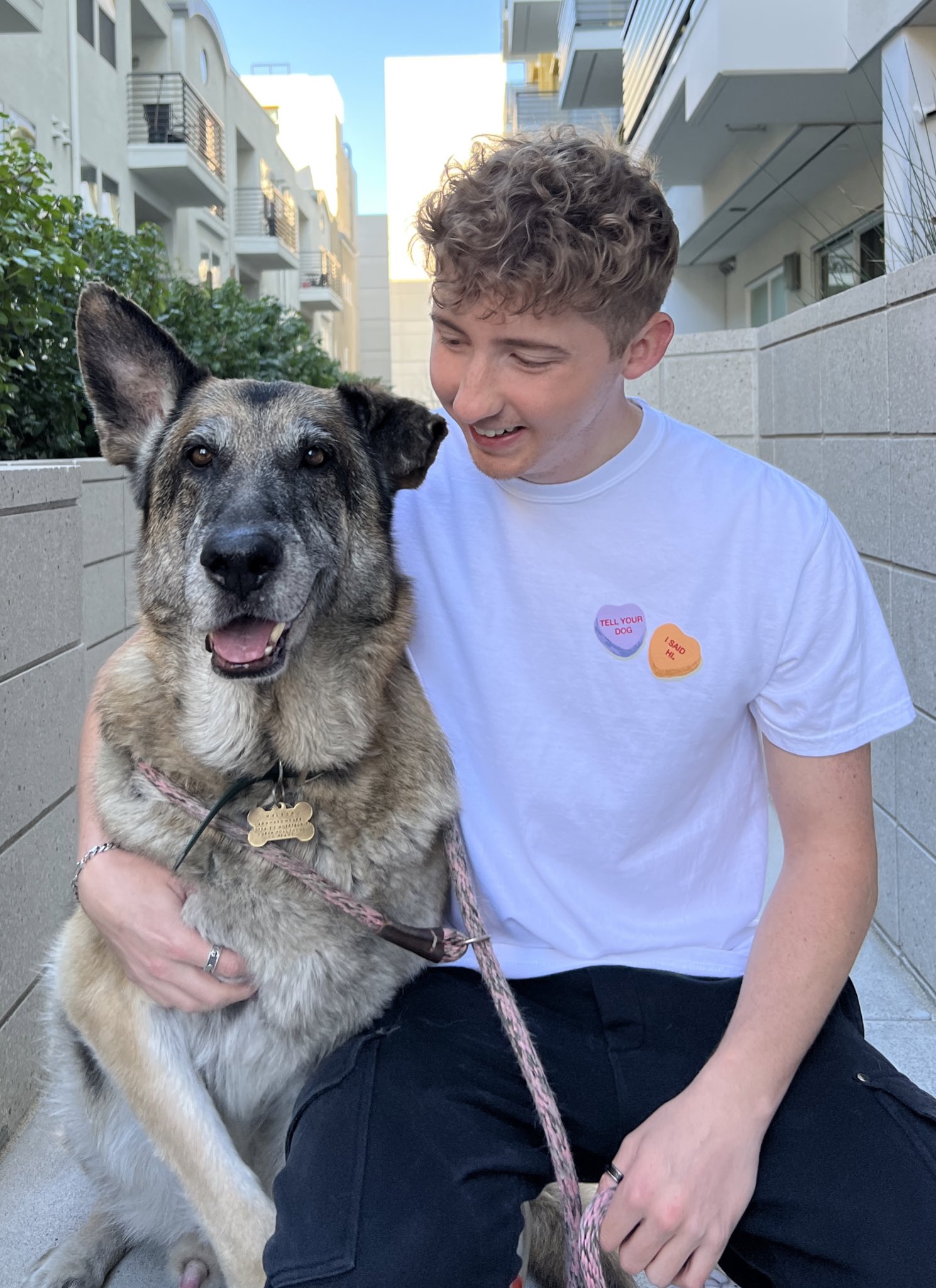 Weratedogs merch sales