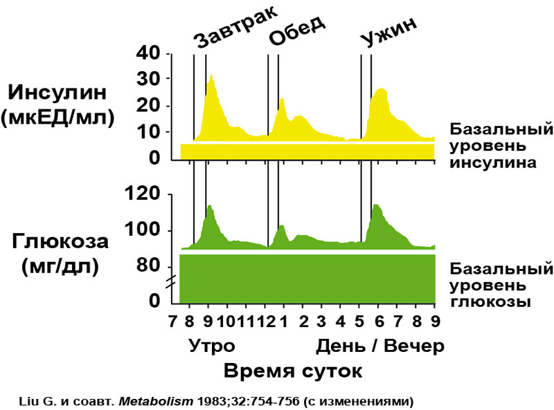дозировка инсулина при сахарном диабете 2 типа. механизм действия глюкозы. уровень инсулина график. базальный уровень инсулина. инсулин после сахара.