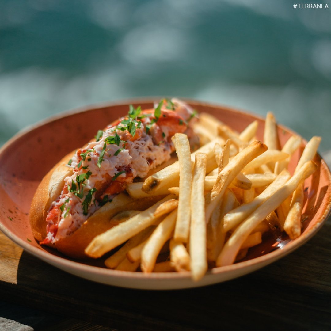 Terranea Resort tweet media