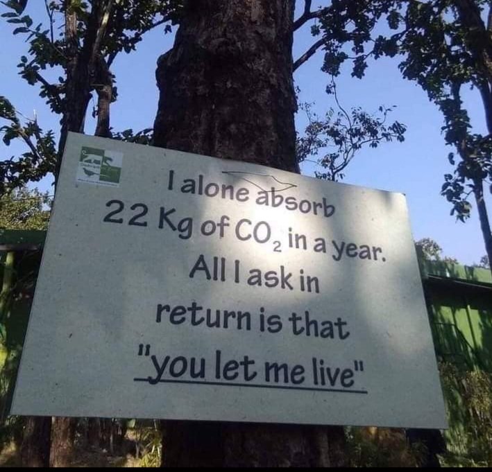 Don Fesh tweet media