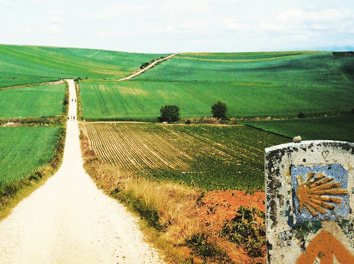 oldrangerdays's tweet photo. Do scallop signs show the route of a holy road just for pilgrims? Or, they lead outdoor enthusiast to the undprecedented adventures too? Camino de Santiago, the way of Saint James, is on 👉 https://t.co/8duy5pPime #caminodesantiago #route #adventure #trekking #camping #outdoors https://t.co/GgCc6Tb6XR