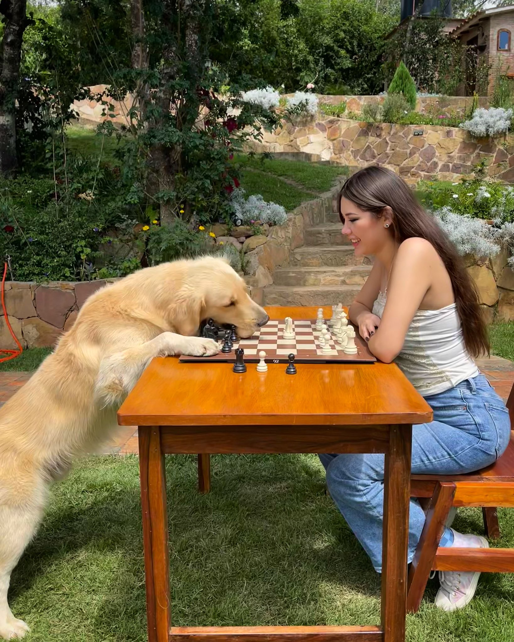 Dog Playing Chess