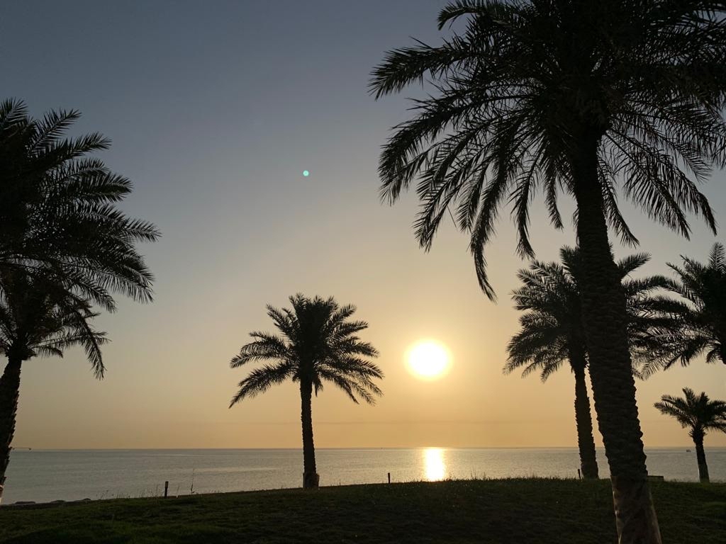 HiltonKuwait tweet picture