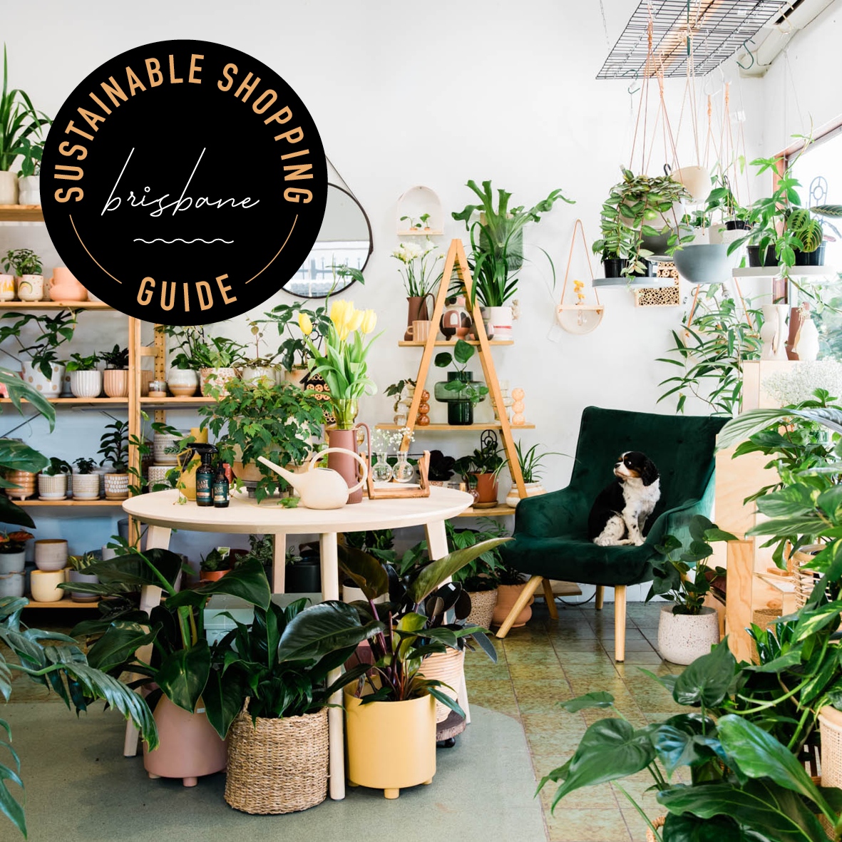 Started by urban horticulturist and environmental scientist Andrea, you’ll find everything from indoor plants, decorative pots, gifts and professional plant parent advice to help you build your indoor jungle at this lush shop on Vulture St in West End.

l8r.it/Uyjg