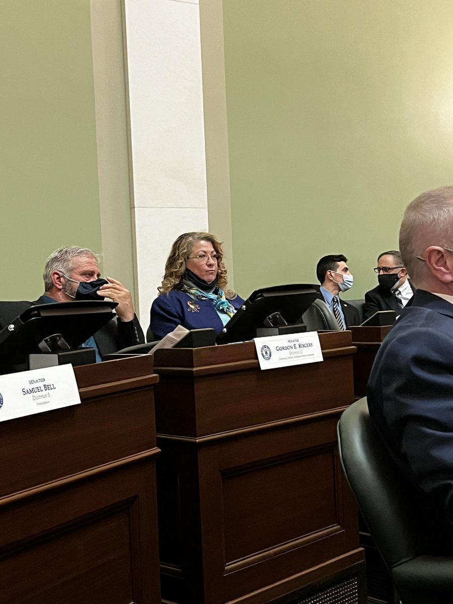 Cynthia_Mendes_'s tweet photo. Senator Morgan (R) @Elaine4Senator 
intentionally bucked the Senates standard for masks in the chamber by having hers down the entire time endangering the health of all of our colleagues. https://t.co/buADuNo80v