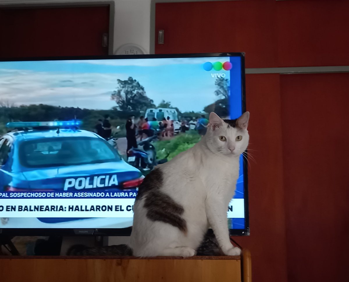 PAOLA O. tweet media