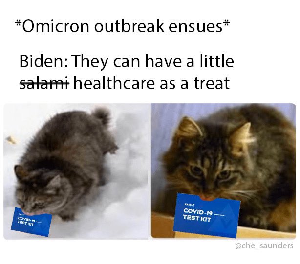 Chelsea Saunders (@che_saunders) on Twitter photo 