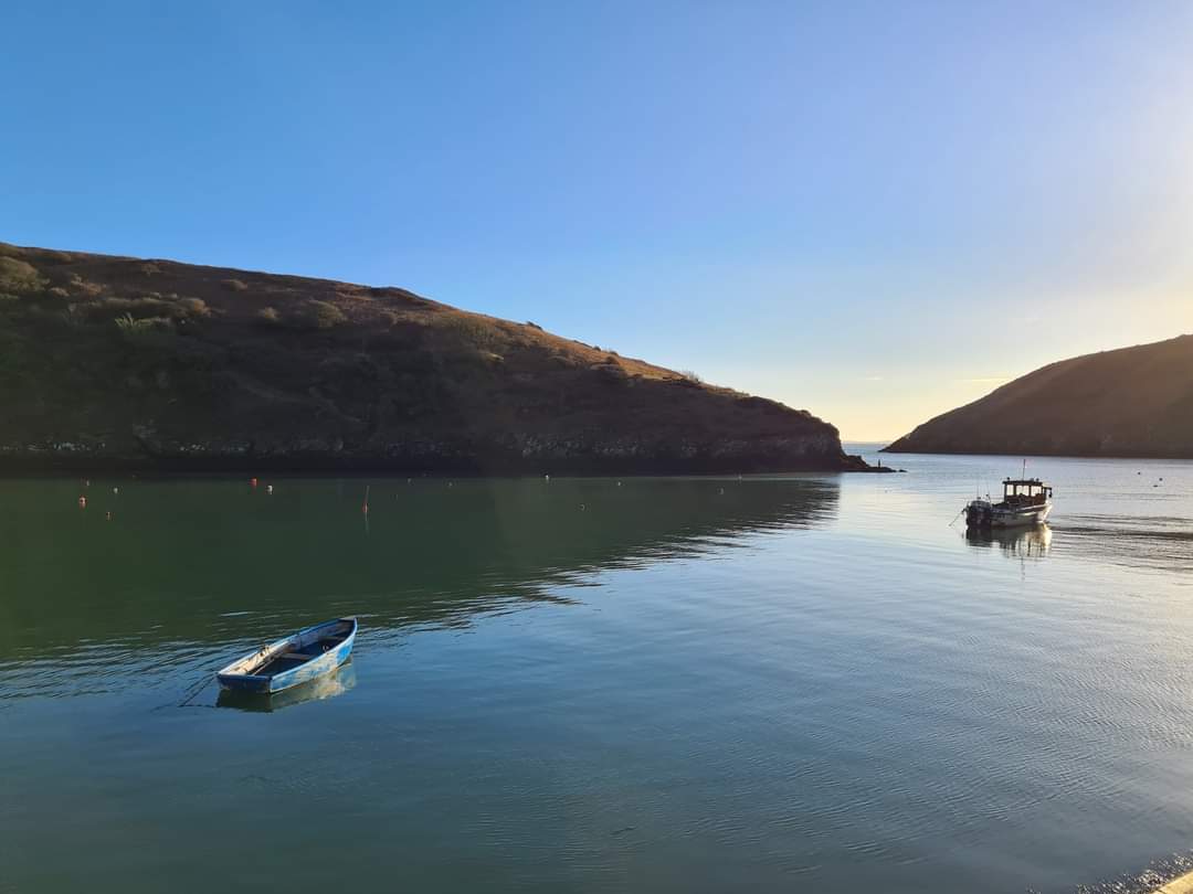 RamseyIslandFun's tweet photo. Whilst our boats aren't in the water, we have been visiting others that are. 
These two looking particularly picturesque in Sunny Solva 🌞 

 #solva #visitsolva #ilovesolva #pembrokeshire #boattrips #pembrokeshirecoast #pembrokeshirecoastalpath #Wales #pembrokeshirelife #Stdavids https://t.co/ZihEgc3r5g